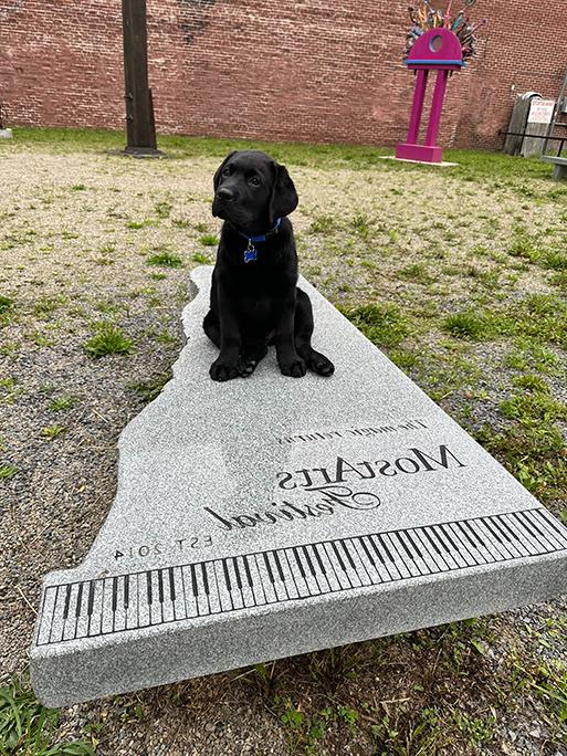 Image of puppy BRAVO with sculpture