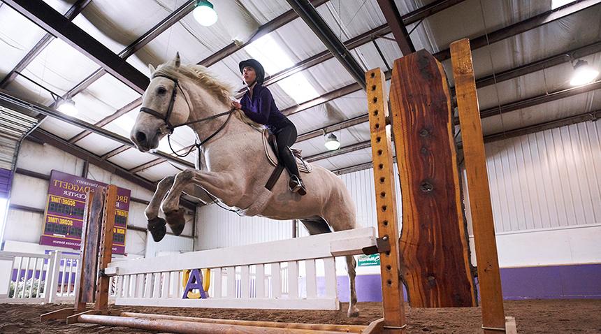 student on a horse jumping over a gate